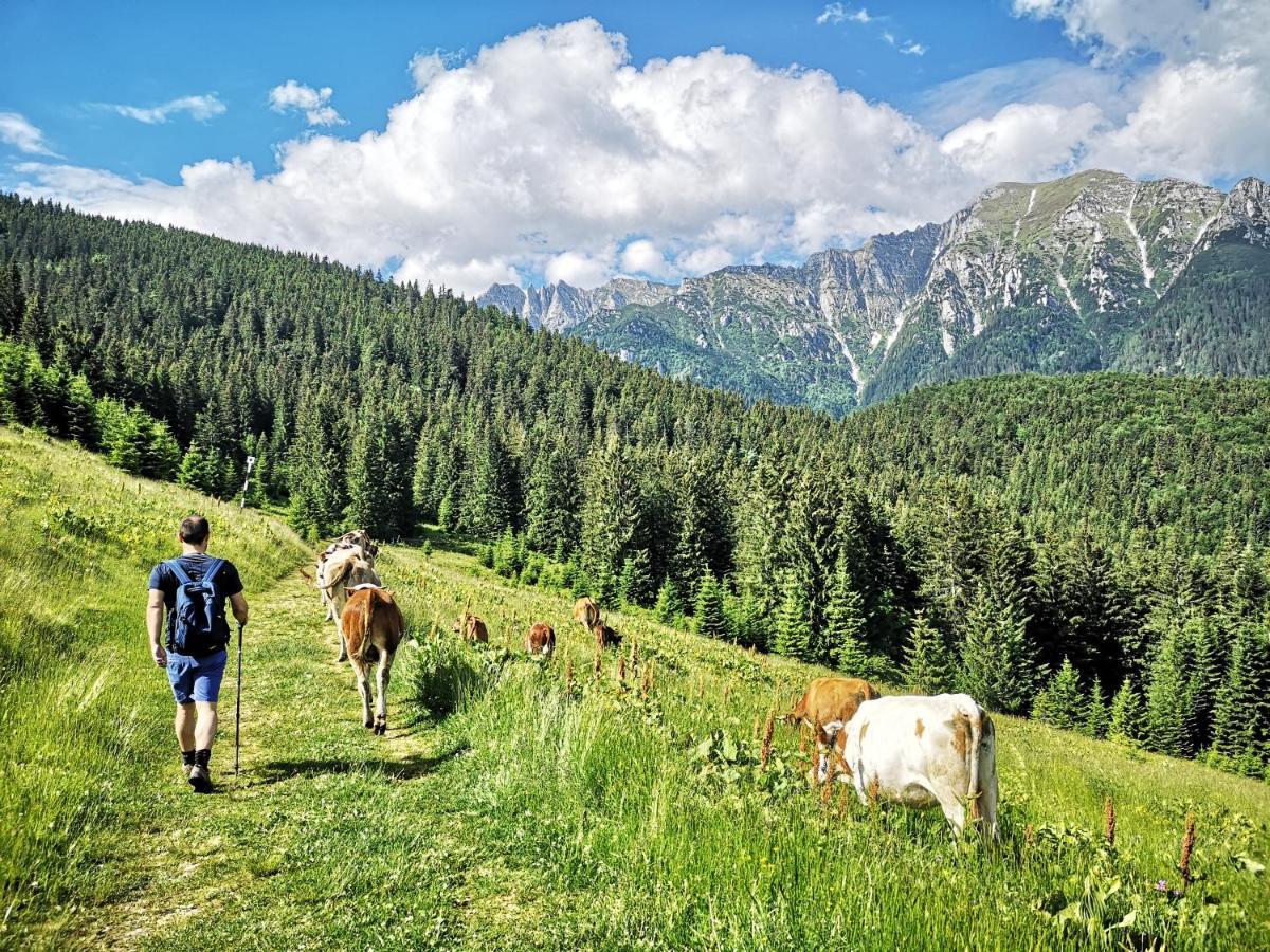 Mountain Lodge Рышнов Экстерьер фото